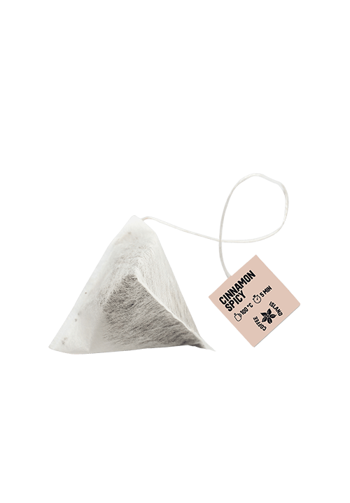 Pyramide Tisane Epicée (10 pcs)