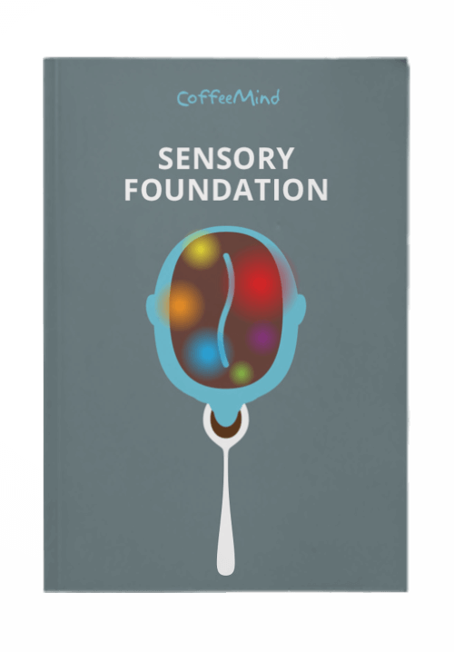 Sensory Foundation Book